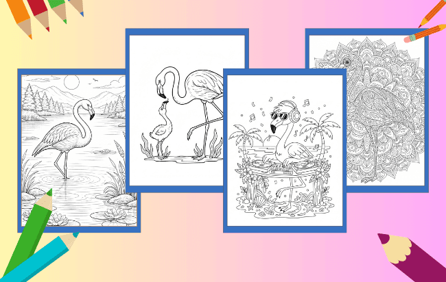 Desenhos de Flamingo para colorir